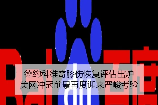 德约科维奇膝伤恢复评估出炉 美网冲冠前景再度迎来严峻考验